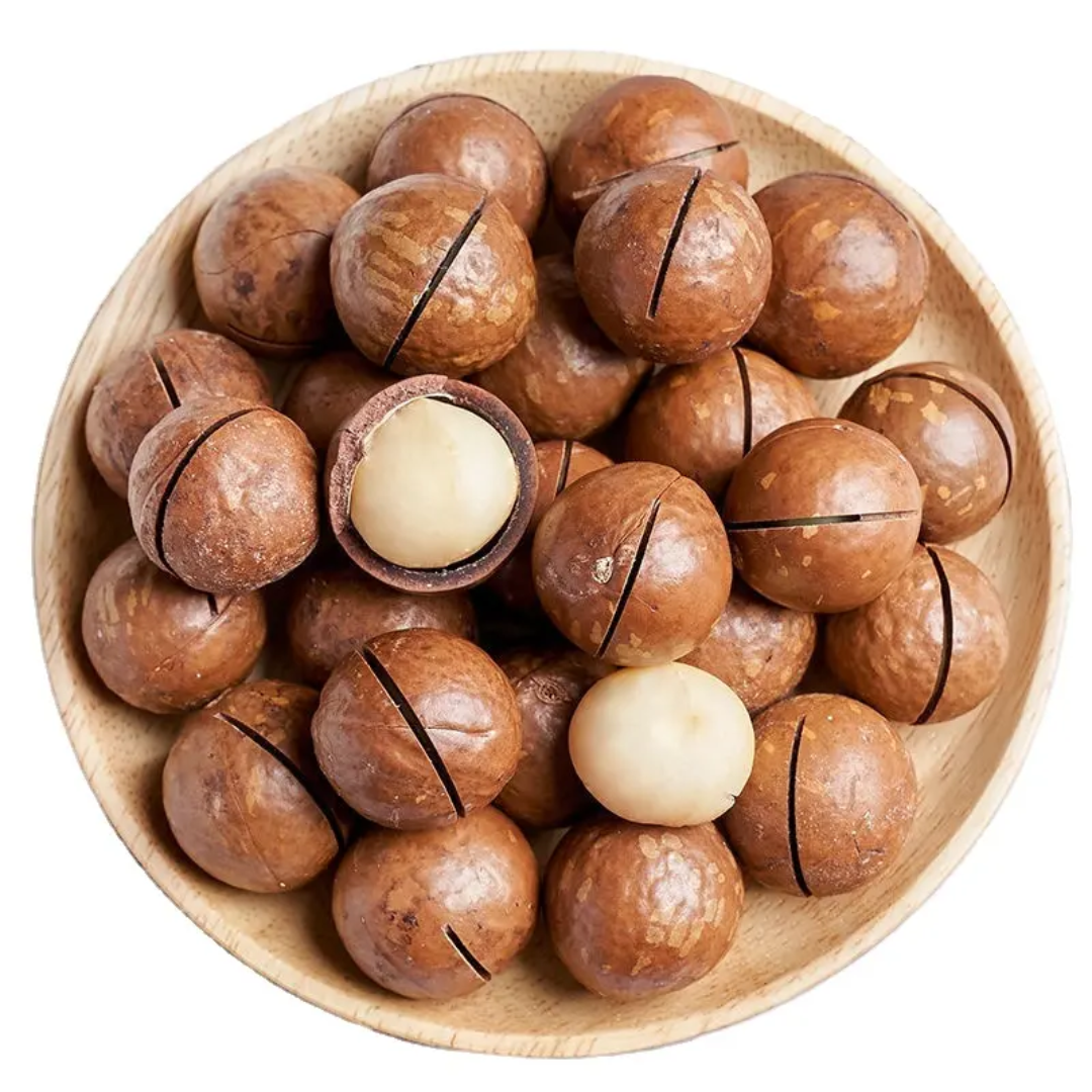 High Quality Dried Shell Macadamia Nuts Sweet Milky Flavor Hand Squeeze Yummy Snack Dried Fruit