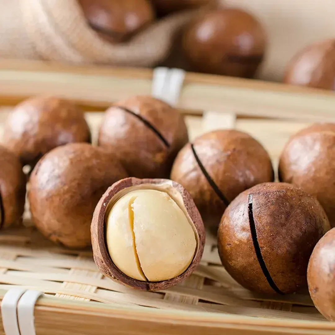 High Quality Dried Shell Macadamia Nuts Sweet Milky Flavor Hand Squeeze Yummy Snack Dried Fruit