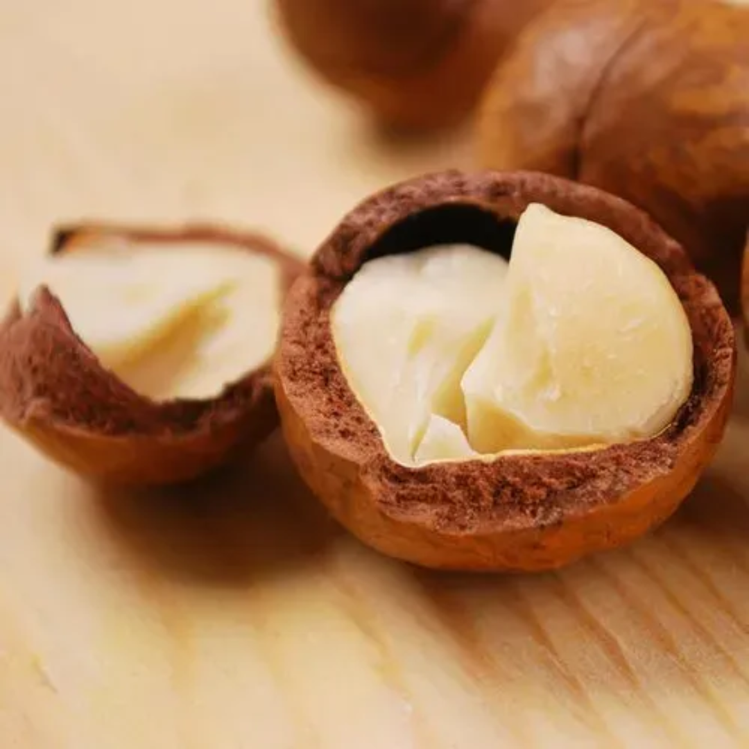 High Quality Dried Shell Macadamia Nuts Sweet Milky Flavor Hand Squeeze Yummy Snack Dried Fruit