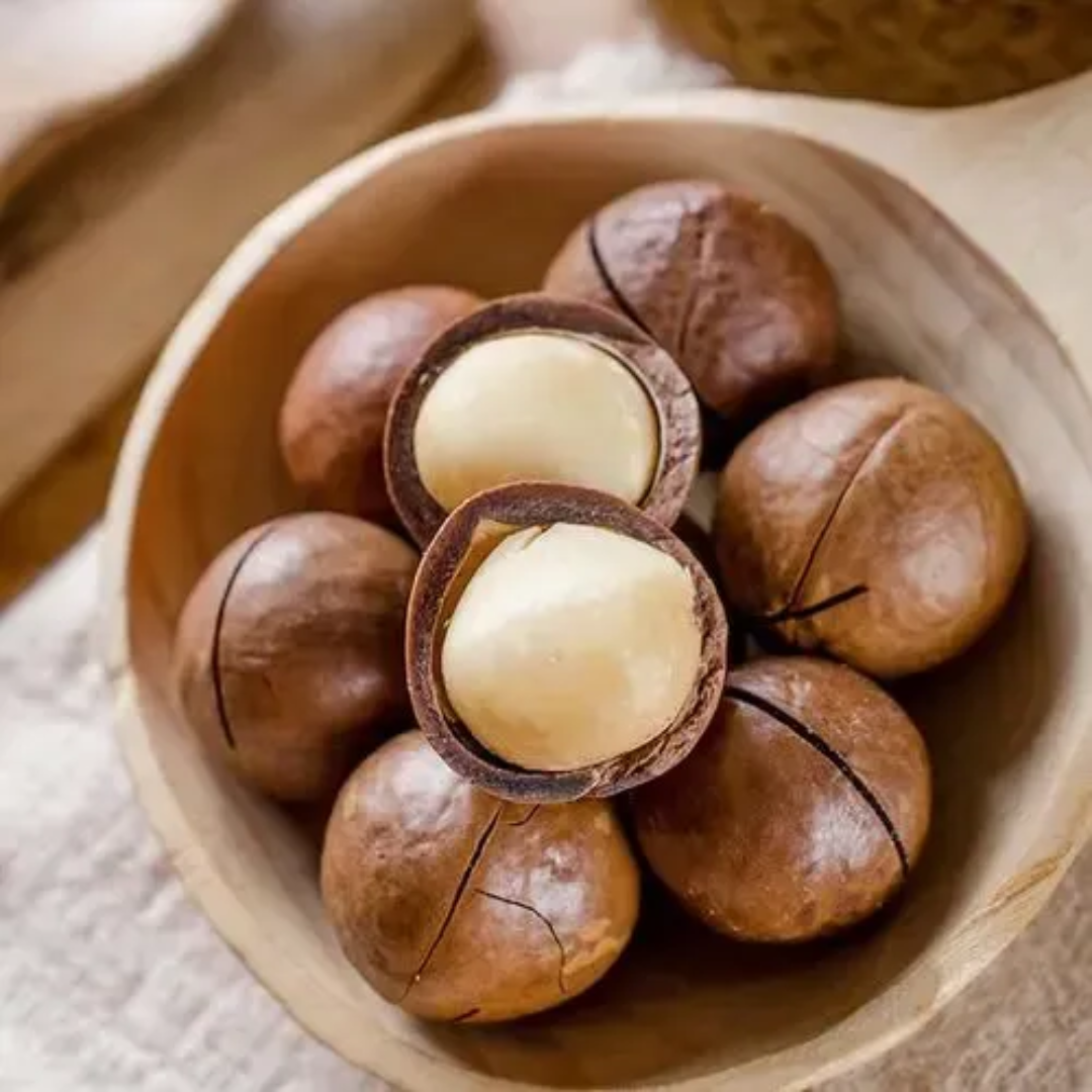 High Quality Dried Shell Macadamia Nuts Sweet Milky Flavor Hand Squeeze Yummy Snack Dried Fruit