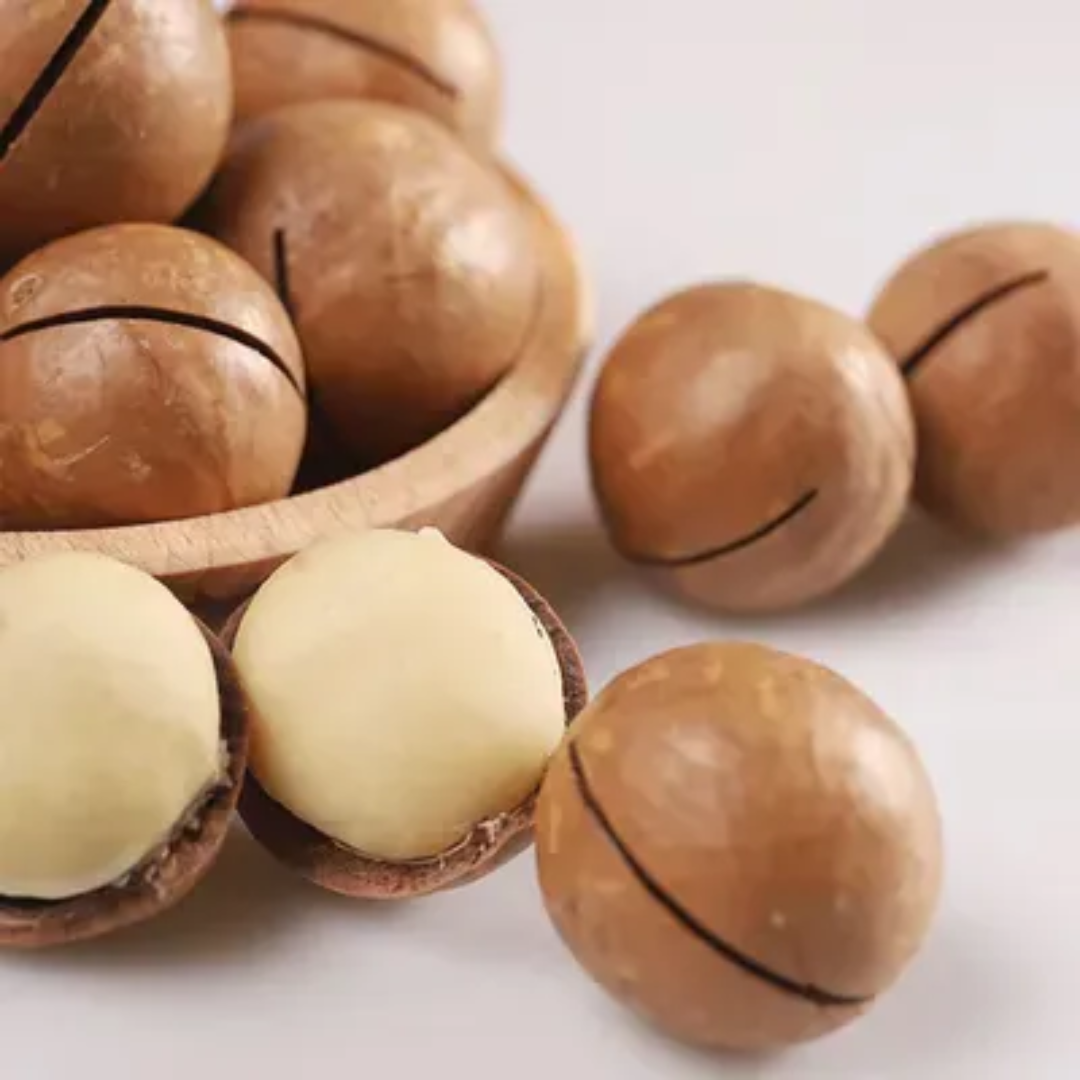 High Quality Dried Shell Macadamia Nuts Sweet Milky Flavor Hand Squeeze Yummy Snack Dried Fruit