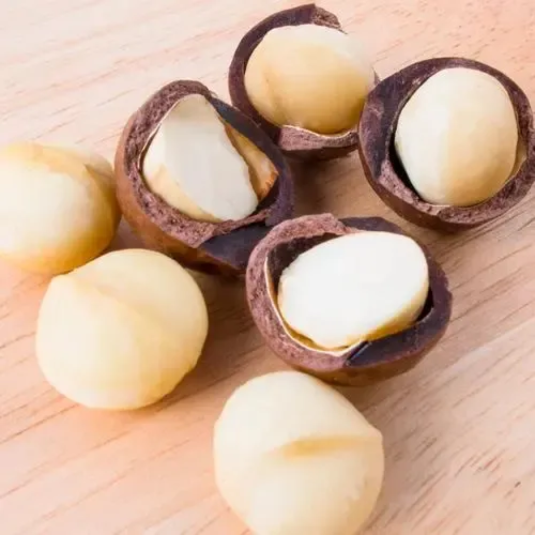 High Quality Dried Shell Macadamia Nuts Sweet Milky Flavor Hand Squeeze Yummy Snack Dried Fruit