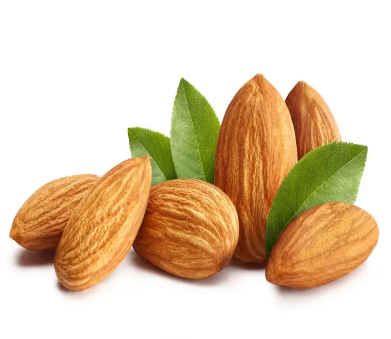 Kashmiri Mamra Almonds Fresh and Rich Kashmiri Almonds Full of Taste Organic Almond Fresh